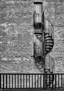 Spiral - Sue Matthews