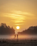 Strolling into the Sunset - Alan Simpson