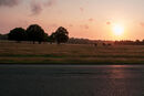 Sunrise Rutt - Noreen Connolly
