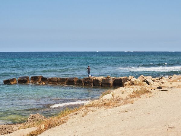 Teach a man to fish - David Tachauer