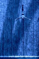 The Diver - Alan Taylor