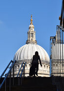 The Glory of Wren - Leigh Kogan