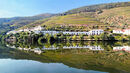 The River Douro - Sue Dyson