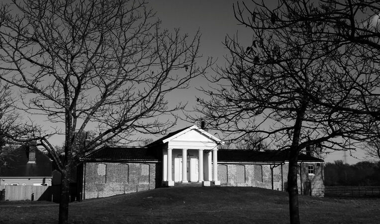 The Temple - Sue Rosner