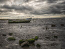Tide Out on Two Trees Island - Jim Williams
