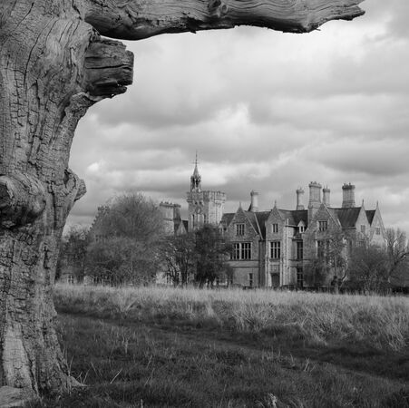 To the Manor - Adrian Gorst