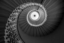 Tulip Staircase - Luciano Ocesca