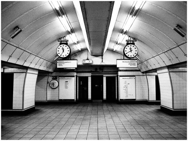 Two Timers - Sue Rosner