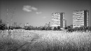 2025/07/21 Cat 2 - Landscapes