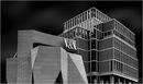 V&A Stratford - David Tyrrell
