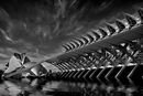 Valenica Dream - Anila Hussain