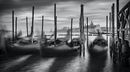 Venice - Anila Hussain