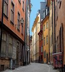 Walk This Way Alley - Michelle Parsons