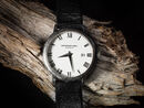 Watch Macro Still Life - Bob Gibbons