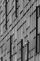 Watching Me Watching You - Ray Benn