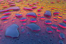 Water Droplets - Kevin Wright