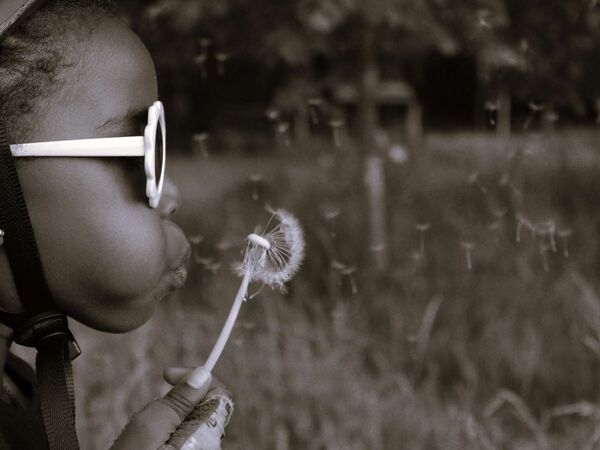 Wishlion - Elia Silva