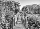 Woodland Bridge - Jim Williams