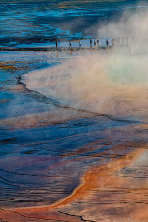 Yellowstone - Hank Bishop