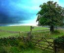 Yorkshire Landscape - Norman Olley