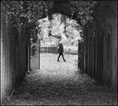 Spirited Walk - Sue Rosner