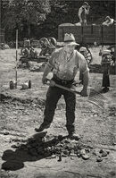 Work - Alan Simpson
