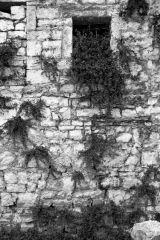 Window and Wall, Berat
