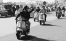 MOD DRIVE BY.