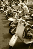 SCOOTS IN A ROW - SEPIA