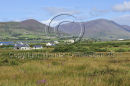 Cahirciveen, Co. Kerry Ref. # DSC1583