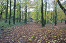 Coole Park, Gort, Co. Galway Ref. # DSC4617