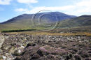 Corran Hill, Beal Feariste, Achill Sound, Co. Mayo Ref. # DSC2255