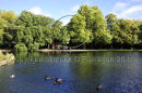 Dublin (St. Stephen's Green) Ref. # DSC4016