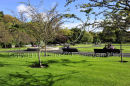 Dublin (St. Stephen's Green) Ref. # DSC4032