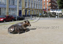 Dublin (Wolfe Tone Street) Ref. # DSC4198CR