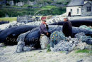 Inis Oirr, Aran Islands, Co. Galway Ref. # F107.7