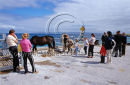 Inis Oirr, Aran Islands, Co. Galway Ref. # F680.21