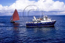 Inis Oirr, Aran Islands, Co. Galway Ref. # F490.18a