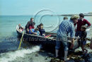 Inis Oirr, Aran Islands, Co. Galway Ref. # F51.16a