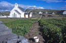 Inis Oirr, Aran Islands, Co. Galway Ref. # F565.5