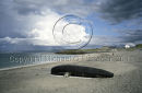 Inis Oirr, Aran Islands, Co. Galway Ref. # F661.9a