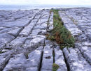 Inis Oirr, Aran Islands, Co. Galway Ref. # F829.13CR
