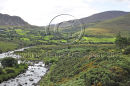 Killorglin to Glenbeigh Road, Co. Kerry Ref. # DSC1485