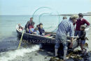 Michael Joe Ó Donnacha, Padraig Póil & Michael Thomas Ó Conghaile ferrying tourists in currach out to the Naomh Eanna, Inis Oirr Ref. # F51.16a
