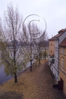 Prague Ref. # F706.2