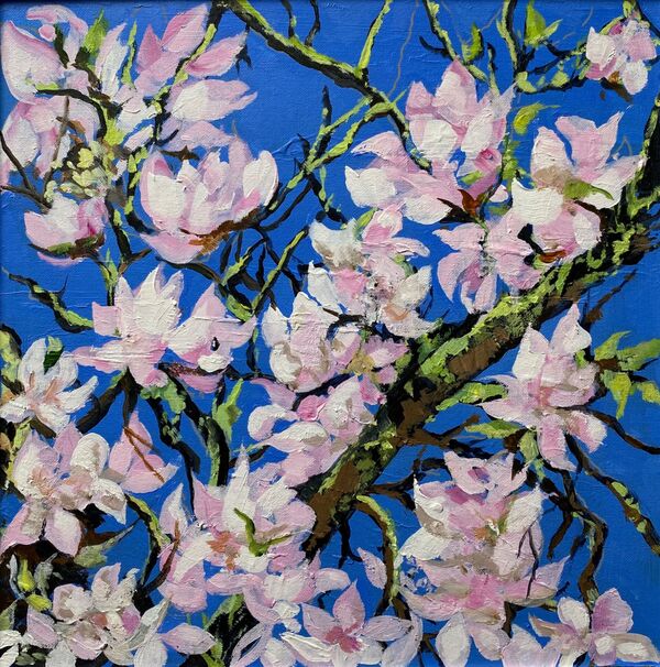 Magnolia