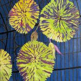 Kew Lily Pond