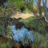 Pond