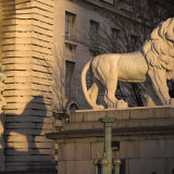 South Bank Lion