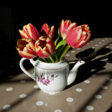 Teapot & Tulips